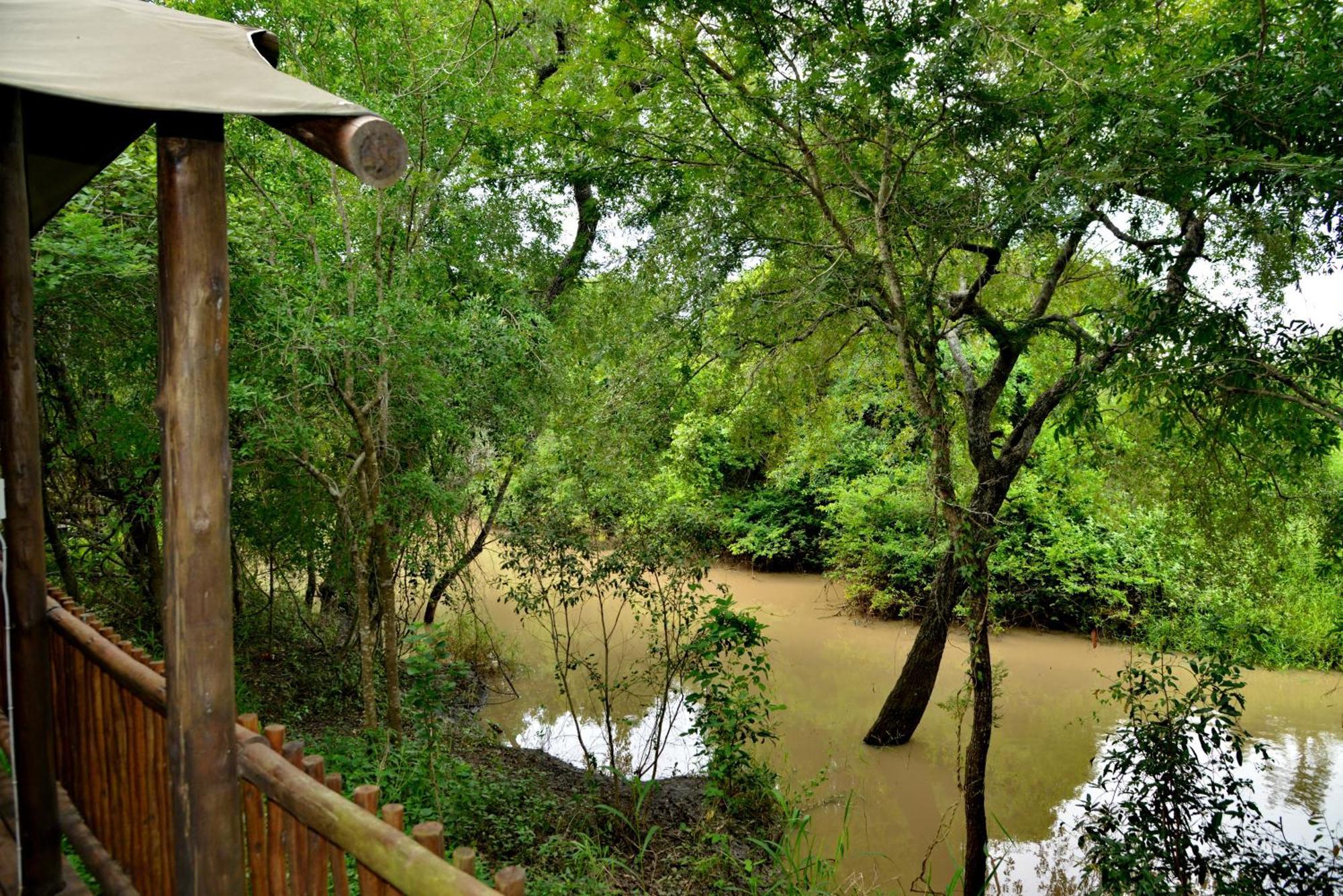 Kruger Safari Lodge Резерват Манйелети Екстериор снимка