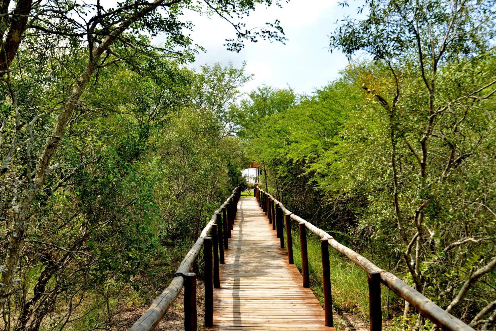 Kruger Safari Lodge Резерват Манйелети Екстериор снимка