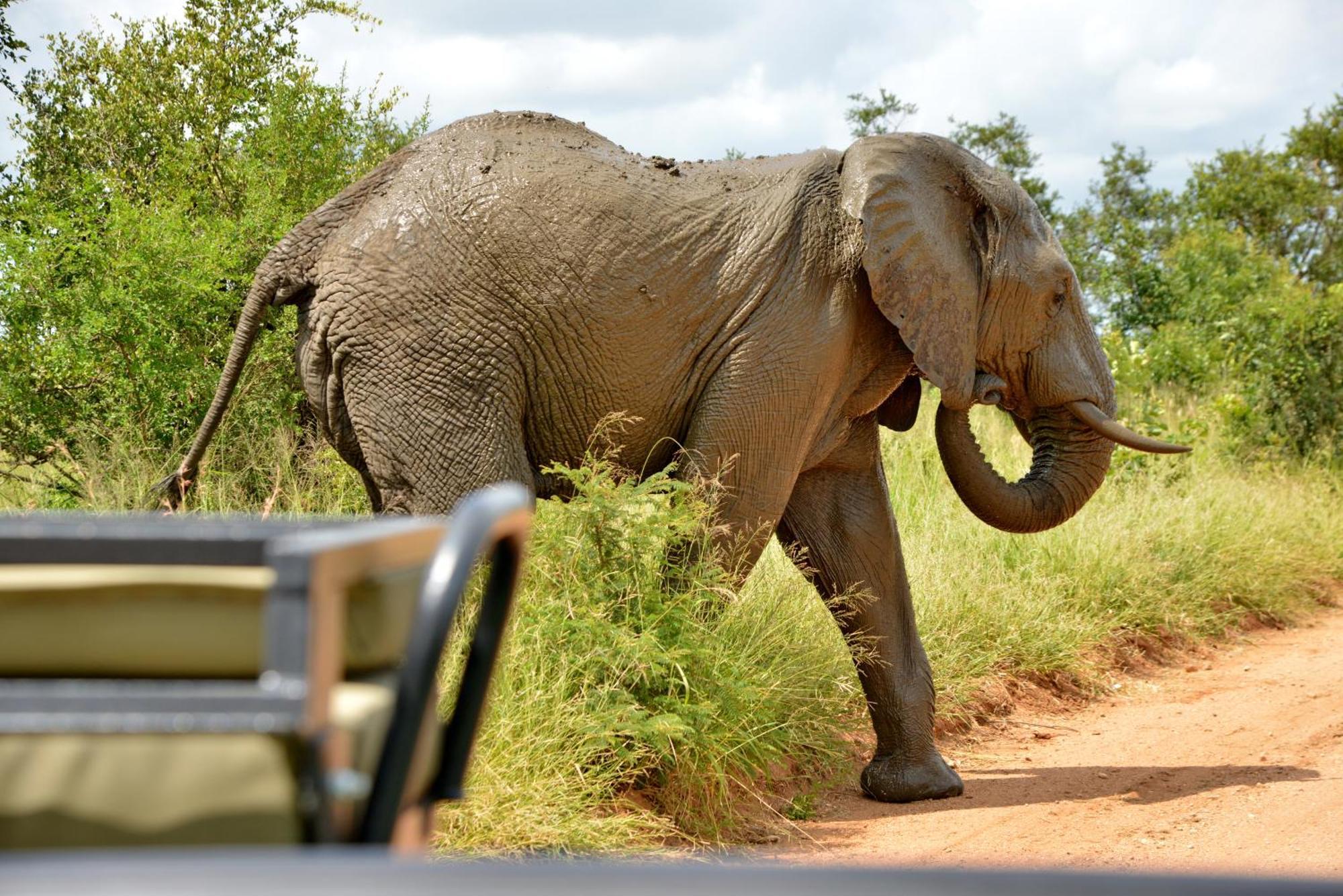 Kruger Safari Lodge Резерват Манйелети Екстериор снимка