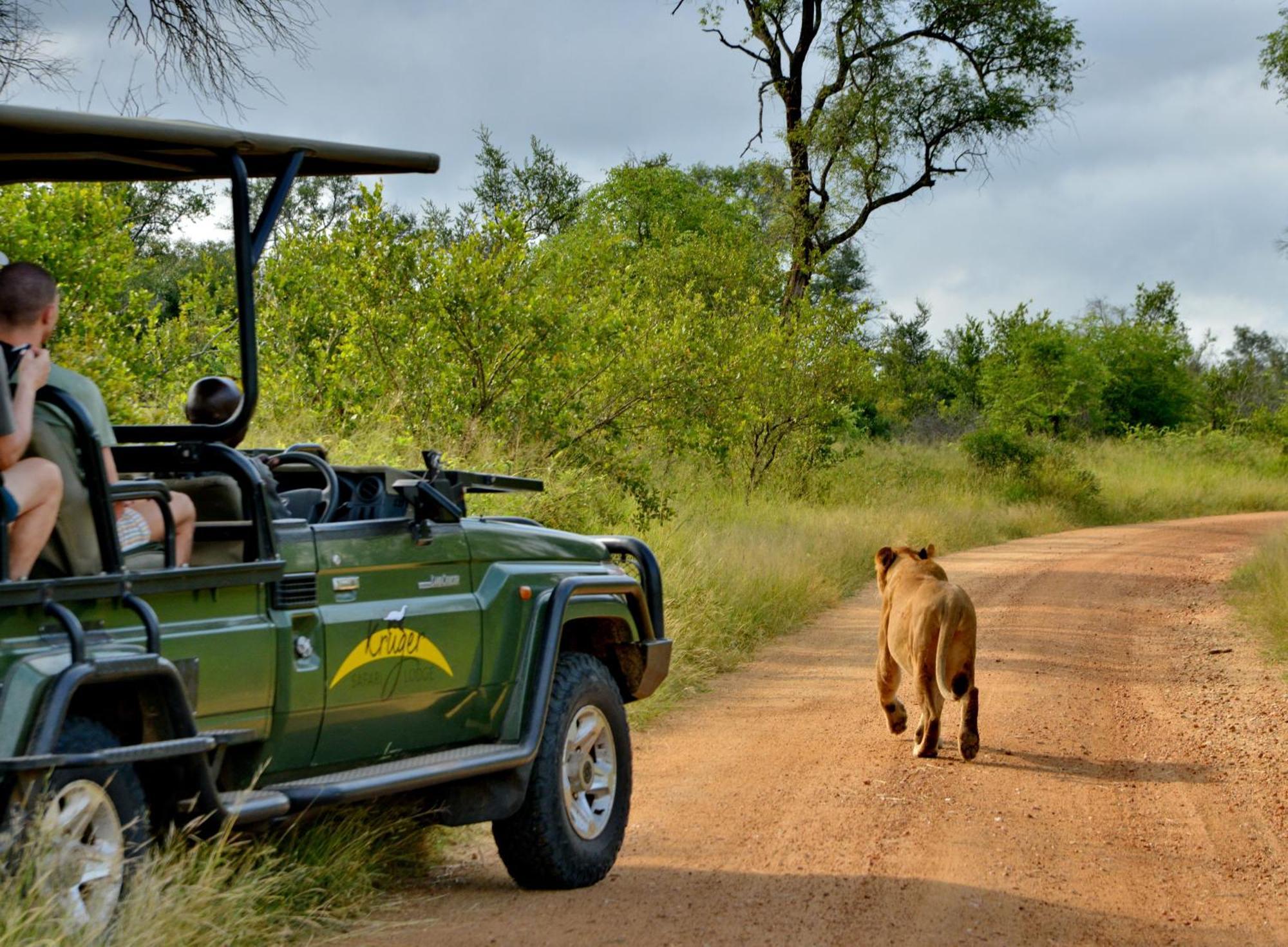 Kruger Safari Lodge Резерват Манйелети Екстериор снимка