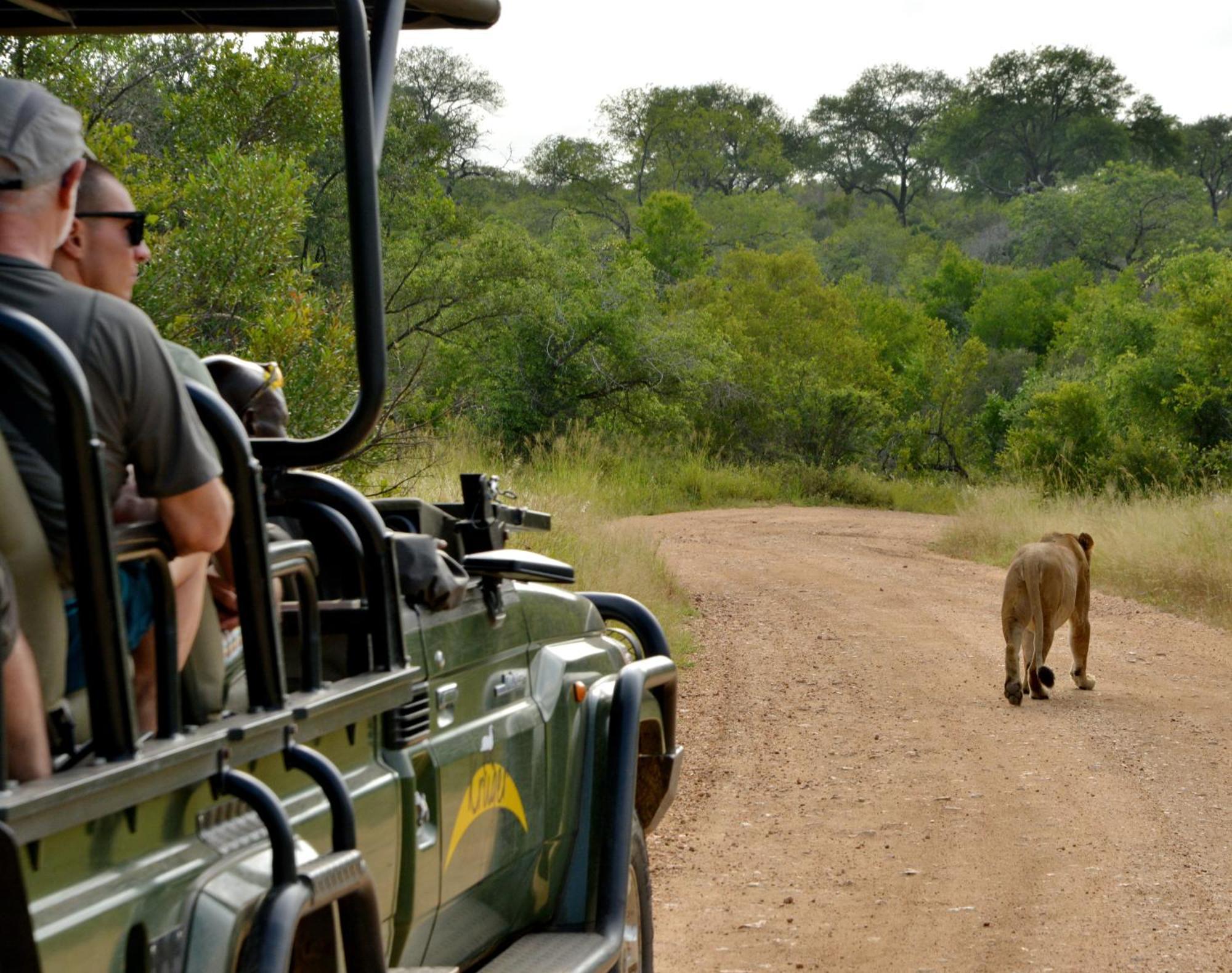 Kruger Safari Lodge Резерват Манйелети Екстериор снимка